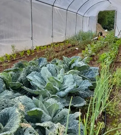 La Margine E Bed & Breakfast 3*