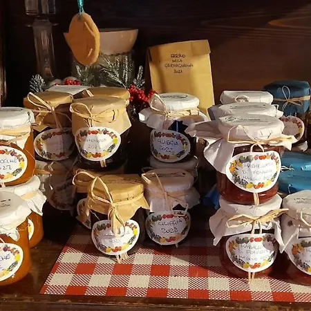 Bed & Breakfast La Margine E Cocciglia