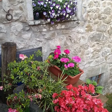La Margine E Cocciglia